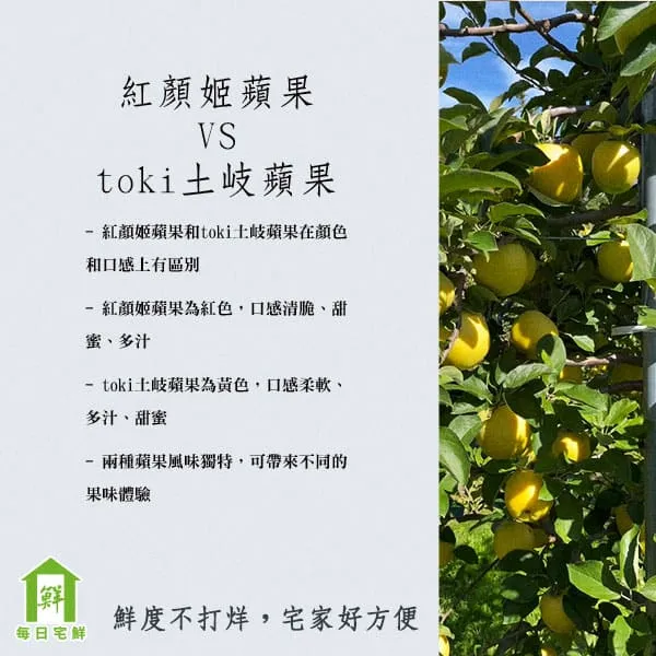 每日宅鮮 紅顏姬蘋果