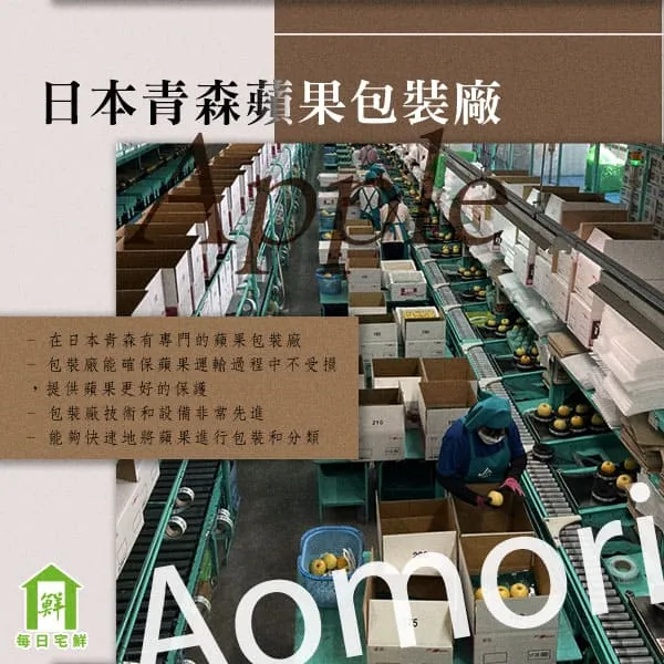 日本青森蘋果包裝廠