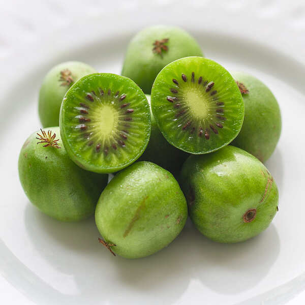 【每日宅鮮】Kiwi berry 奇異果寶寶-紐西蘭迷你奇異果 (125g／盒±5% x5盒 免運)