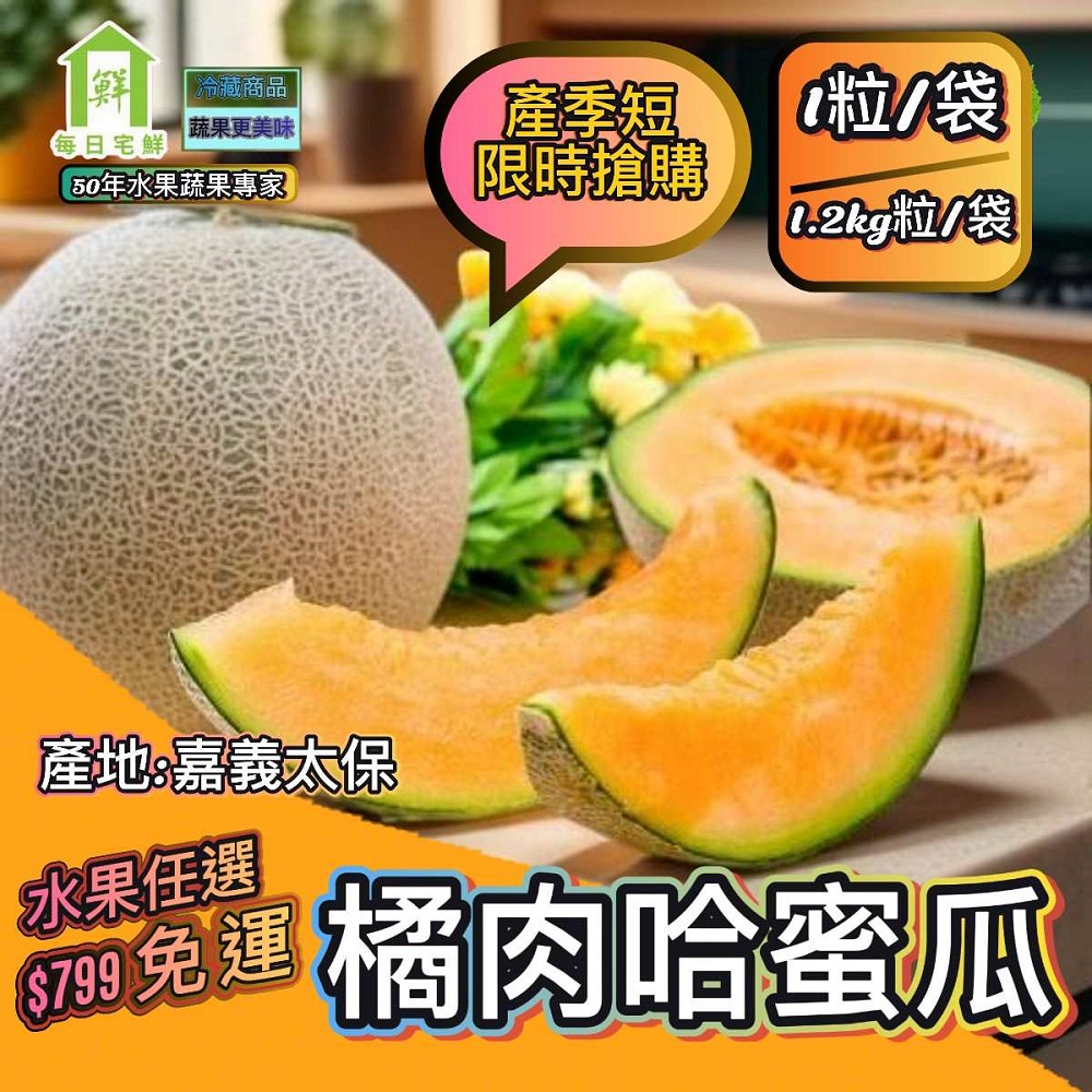 【每日宅鮮】任選$799免運 台灣網紋橘肉哈密瓜(1.2kg／粒±5% x1粒 洋香瓜)