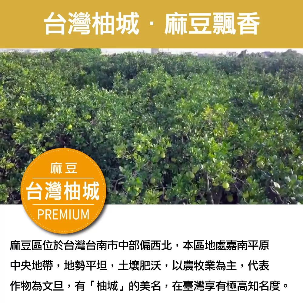 【每日宅鮮】 台南麻豆文旦柚禮盒(4~6粒入/5斤±5%*1盒)｜中秋團圓_企業採購/團購_中秋送禮｜