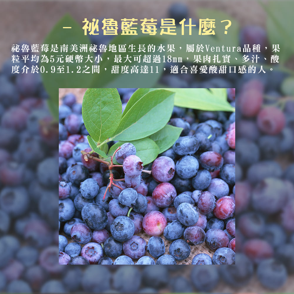 【每日宅鮮】任選$699免運 祕魯藍莓(125g／盒±5% x1盒 秘魯藍莓)