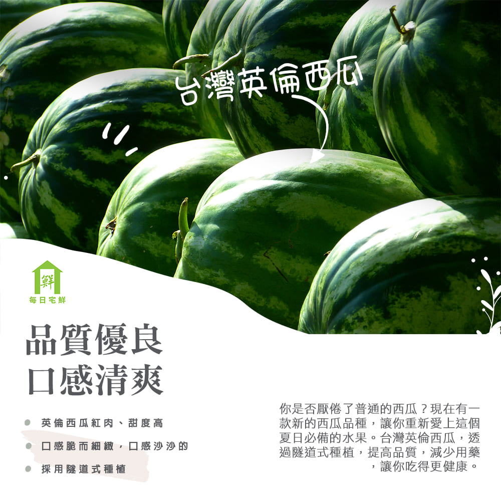 【每日宅鮮】任選$799免運 台灣英倫西瓜(4.2kg／粒±5% x1粒 紅肉 中西瓜)