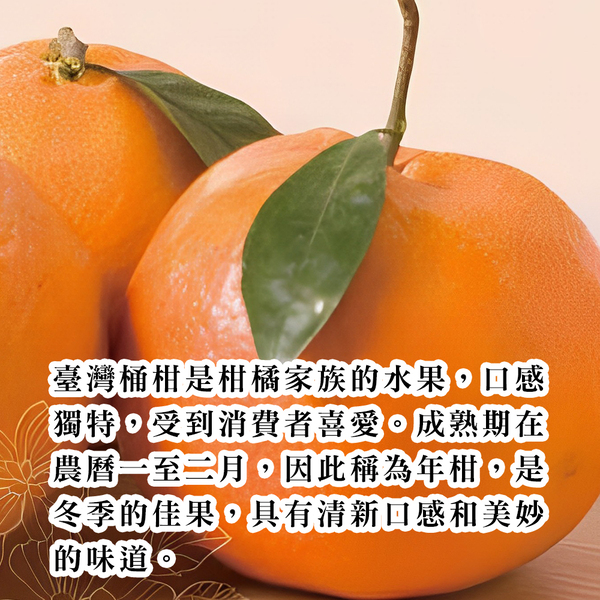 【每日宅鮮】任選$699免運 臺灣桶柑（6-7入／1.2kg±5% x1袋 柑橘 橘子 年柑）