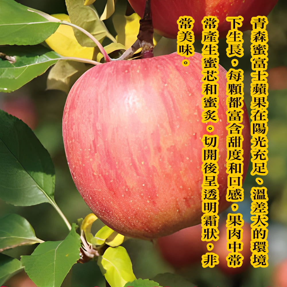 【每日宅鮮】日本青森蘋果組 蜜富士蘋果/王林蘋果（1.8-2g±10% x1箱 免運）