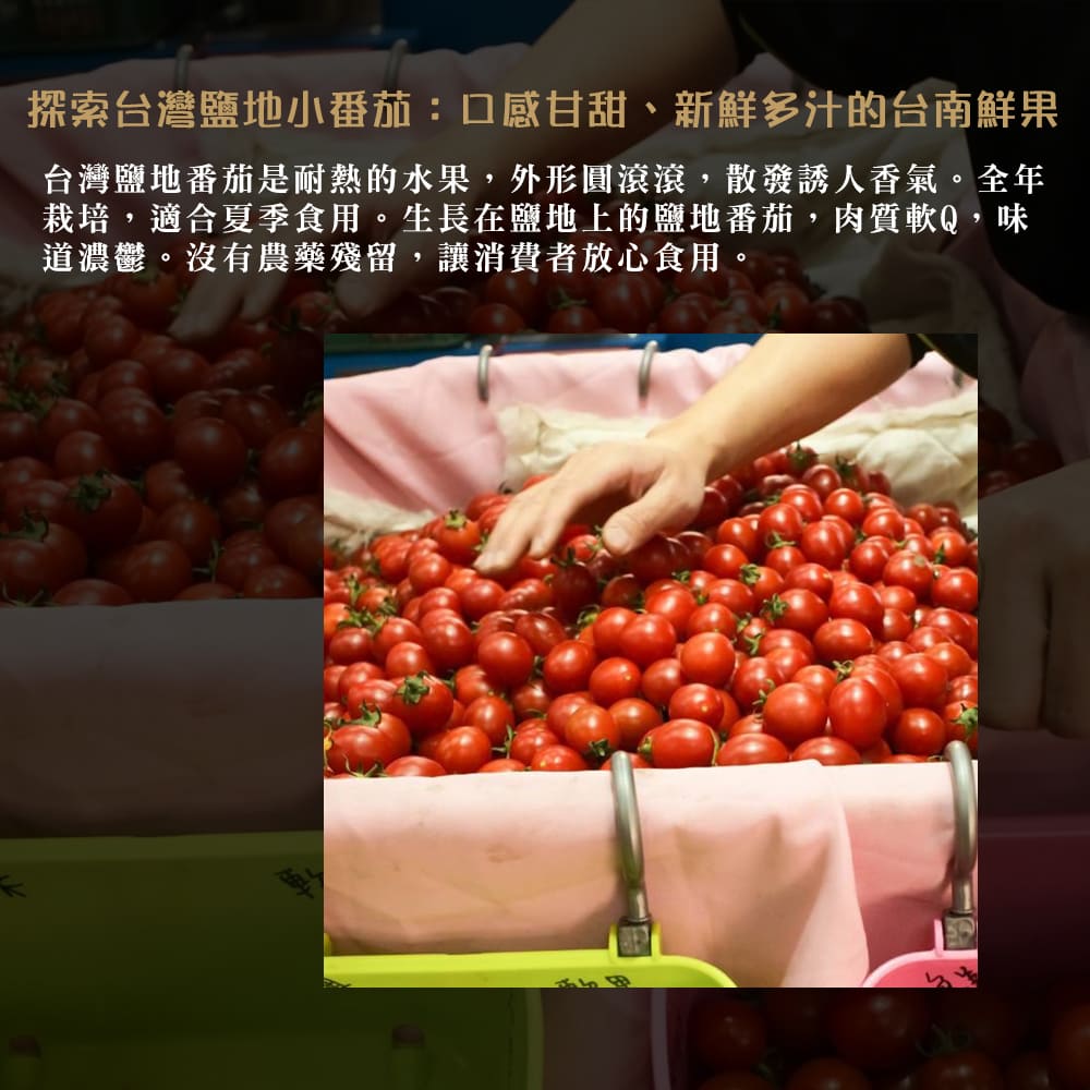 【每日宅鮮】台灣鹽地番茄（600g±5% x4盒／箱 免運）