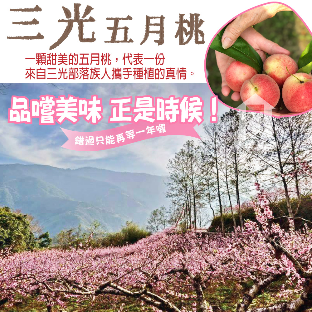 【每日宅鮮】泰雅族產地直送！三光五月桃禮盒(10粒入/約2斤/禮盒)