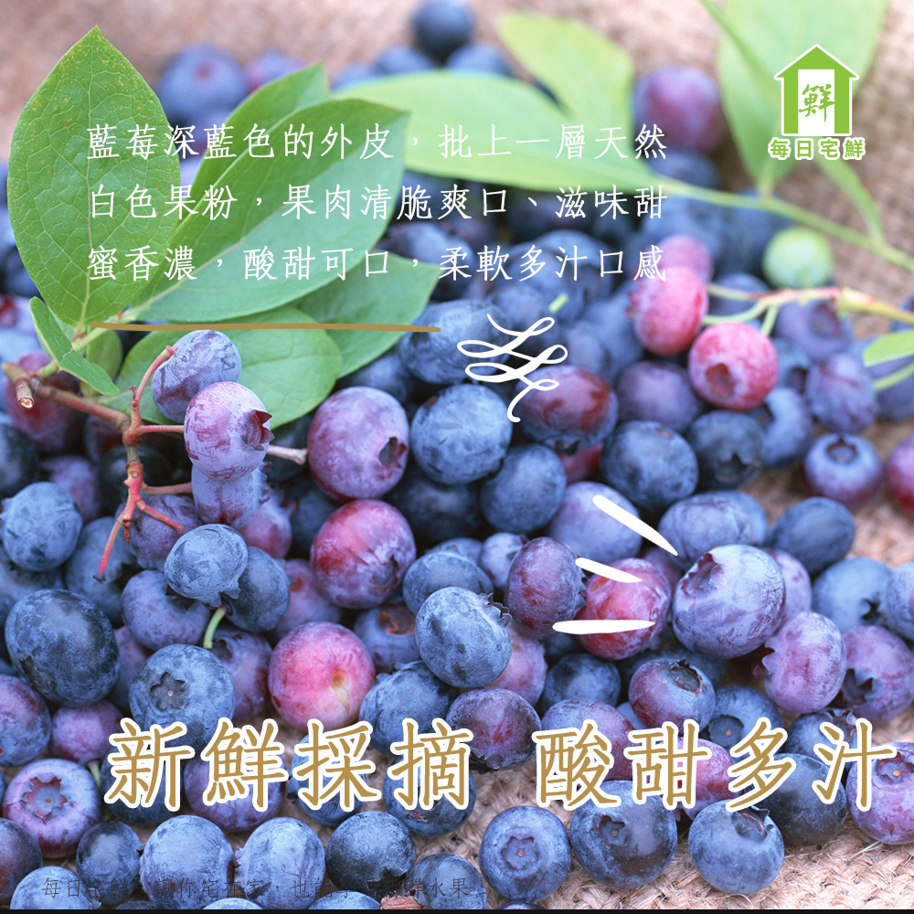 【每日宅鮮】祕魯進口藍莓 125g/盒（8盒 / 12盒）