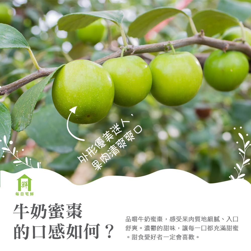 【每日宅鮮】台灣牛奶蜜棗(20粒／2kg／箱±10% x1箱 免運 台灣青蘋果)