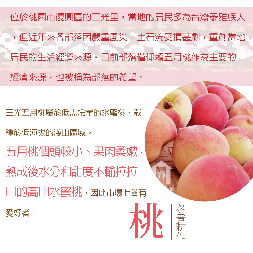 【每日宅鮮】泰雅族產地直送！三光五月桃禮盒(10粒入/約2斤/禮盒)