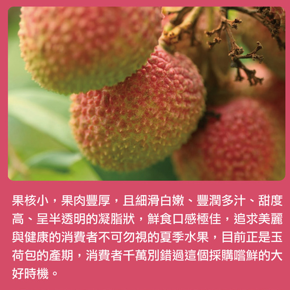 【每日宅鮮】任選$799免費 剪枝粒裝玉荷包(350g/盒±5% x1盒)