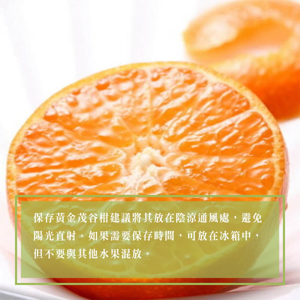 【每日宅鮮】苗栗卓蘭黃金茂谷柑（15粒／3.3kg±10% x1箱 免運 台灣水果 柑橘 橘子）