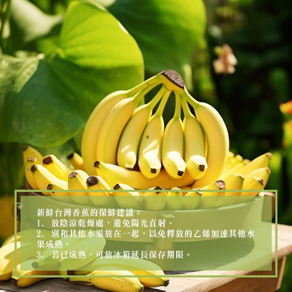 【每日宅鮮】台灣香蕉（3kg±10% x1箱 5袋1箱 免運）