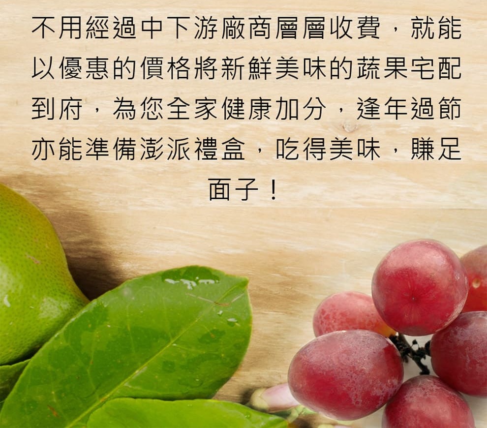 【每日宅鮮】祕魯藍莓超大果18mm （125g/盒 x2盒）