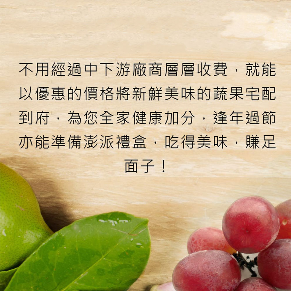 【每日宅鮮】祕魯藍莓超大果18mm 1盒組(125g/盒)