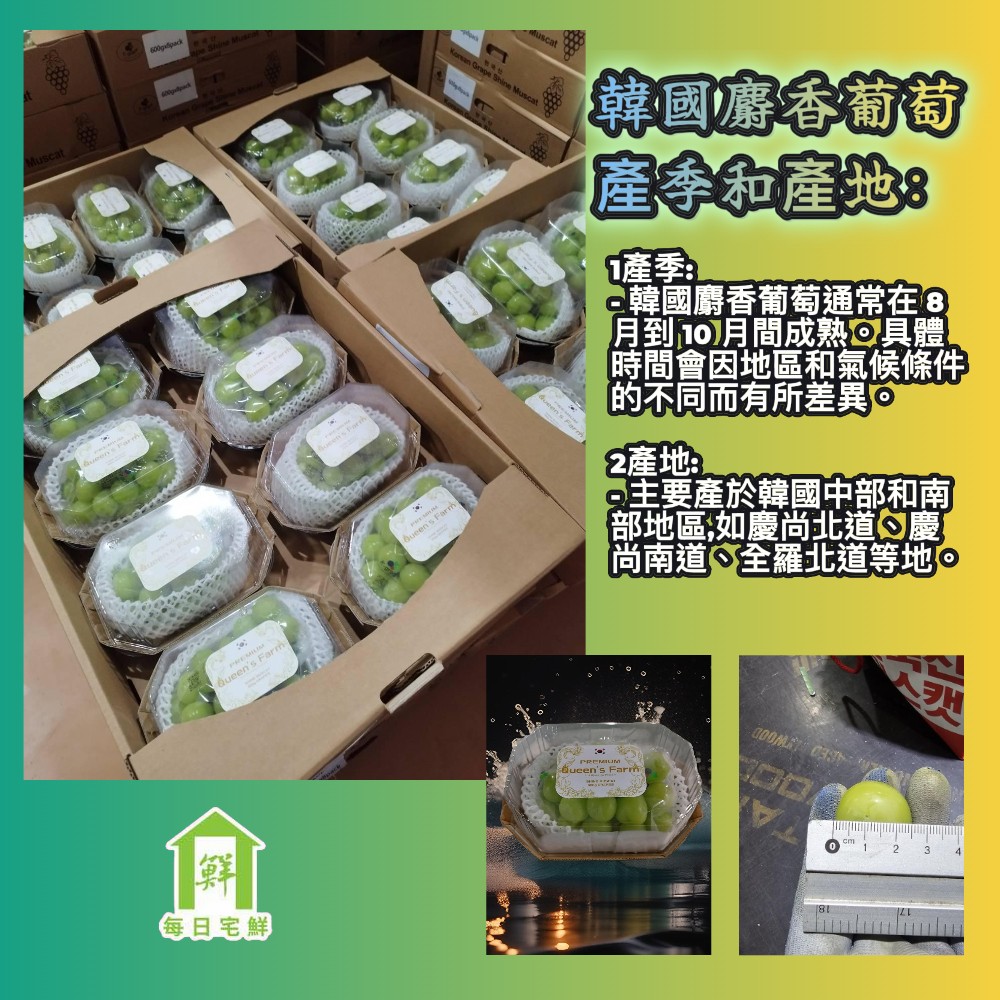 【每日宅鮮】任選$699免運 韓國無籽麝香綠葡萄(600g±5% x1盒 麝香葡萄)