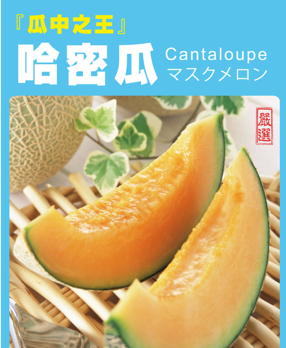 免運 嘉義太保網紋橘肉哈密瓜