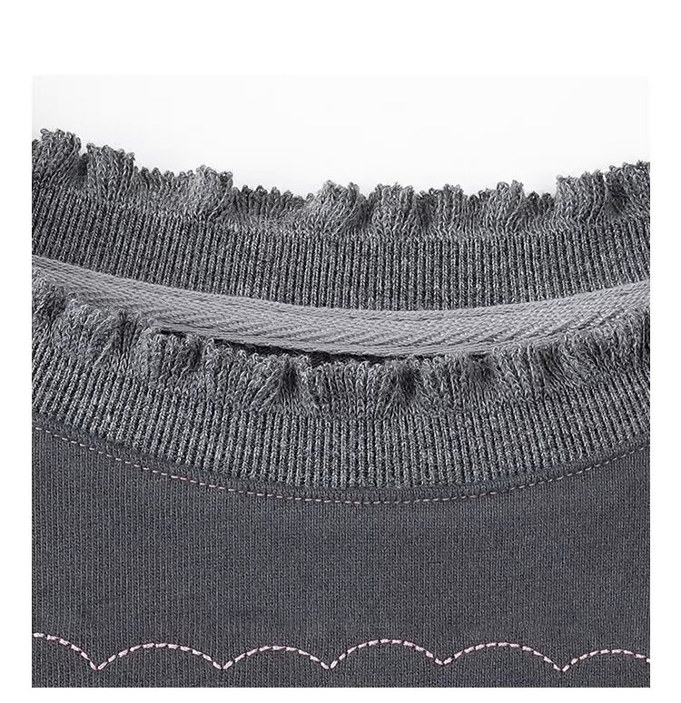 設計感磨毛繡花厚T恤女冬新款花邊圓領長袖上衣,設計感磨毛繡花厚T恤女冬新款花邊圓領長袖上衣,HBEW1184,設計感磨毛繡花厚T恤女冬新款花邊圓領長袖上衣,刺繡細節,磨毛面料