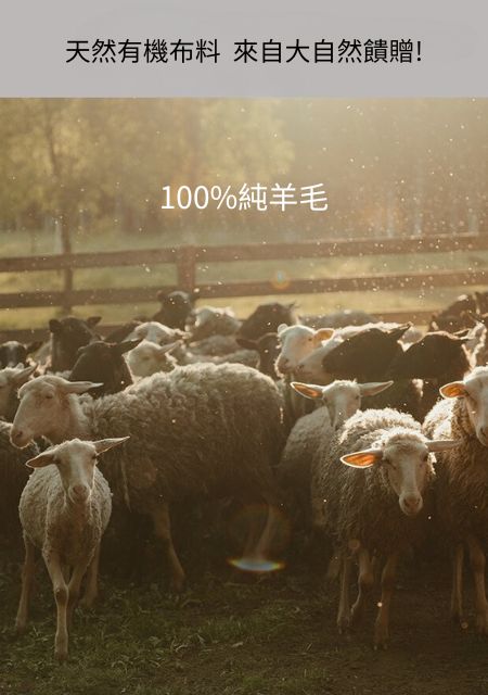 精選澳洲純羊毛100%羊絨圍巾新款百搭男女生冬季保暖針織圍脖