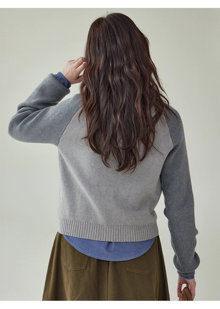 拼色插肩長袖短版針織衫女秋季新款小狗刺繡上衣