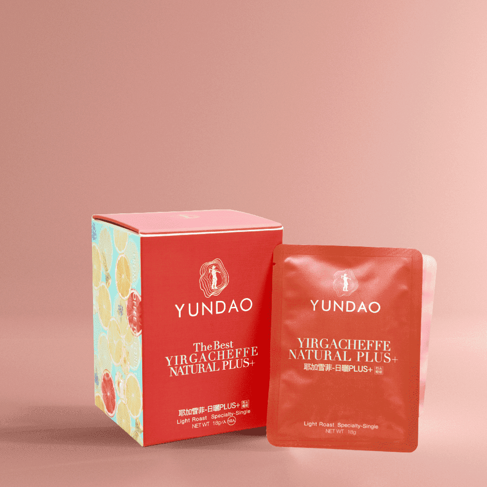 耶加雪菲G1．日曬法PLUS+ 精品濾掛10入/盒