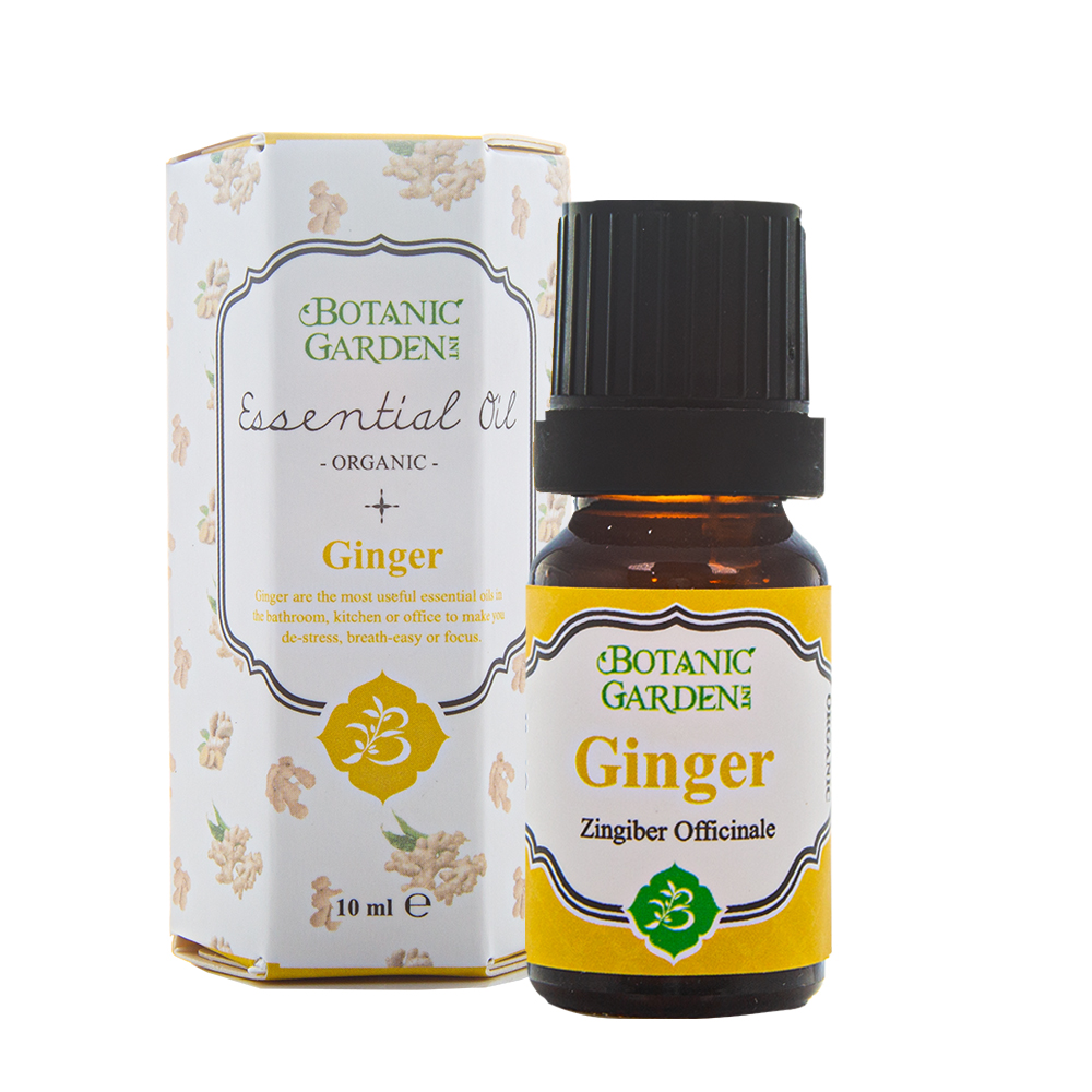 《寶草園》 生薑精油10ml Ginger Oil (10ml/瓶)
