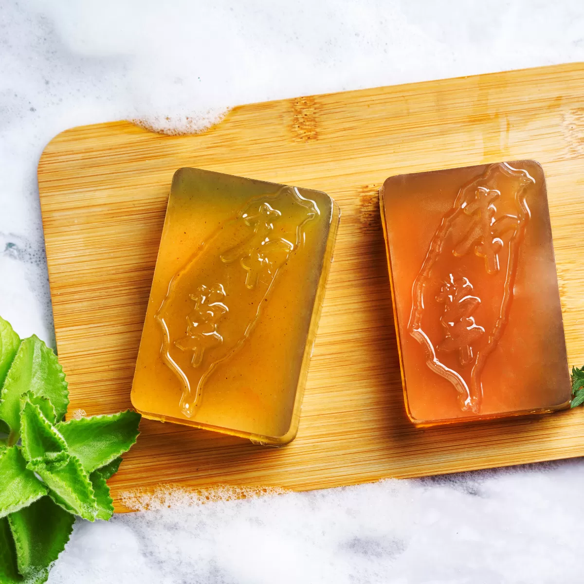 《本草自然》手工皂 ｜任選5個 贈送左手香手工皂