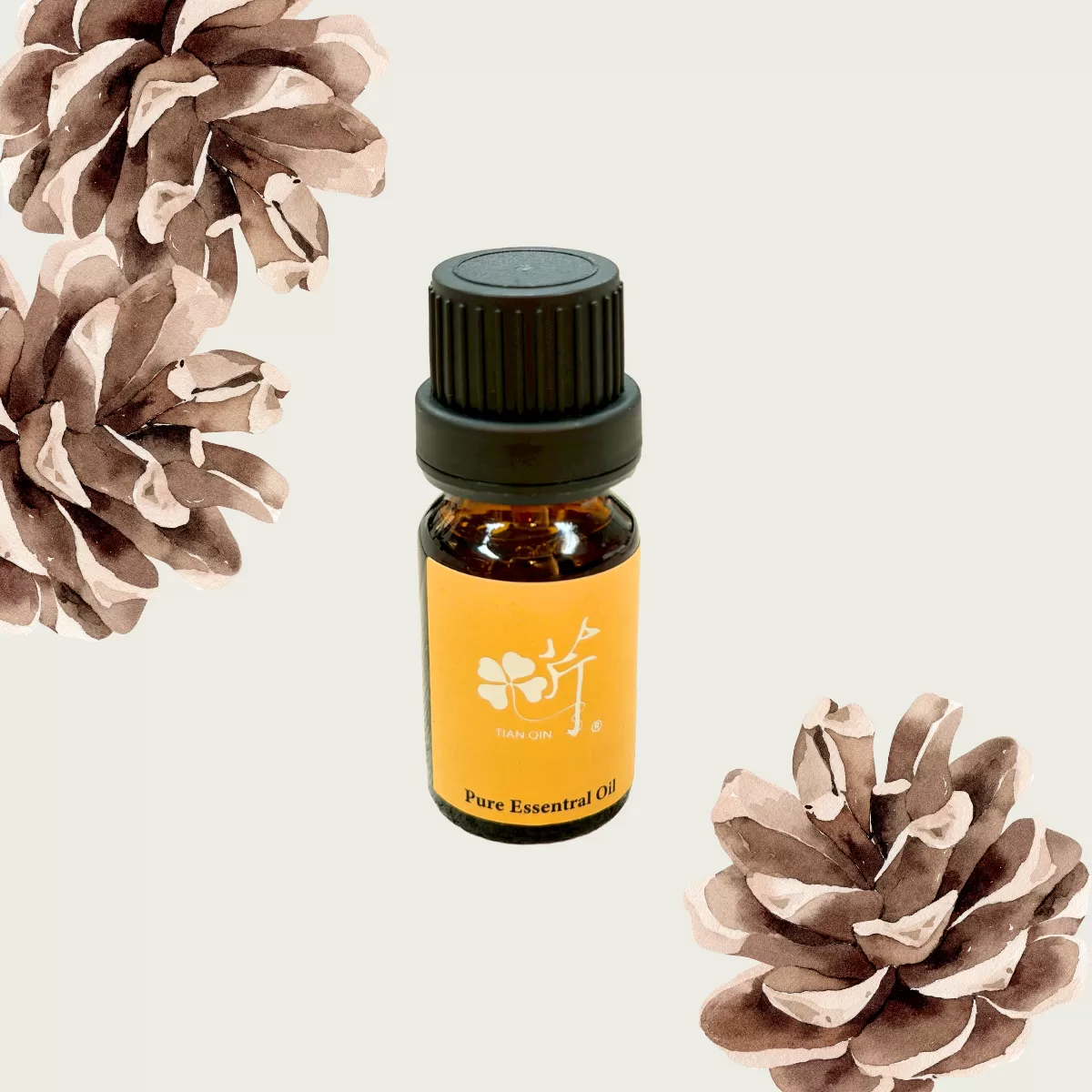 《匯芹》山東松毬果單方精油 10cc/罐