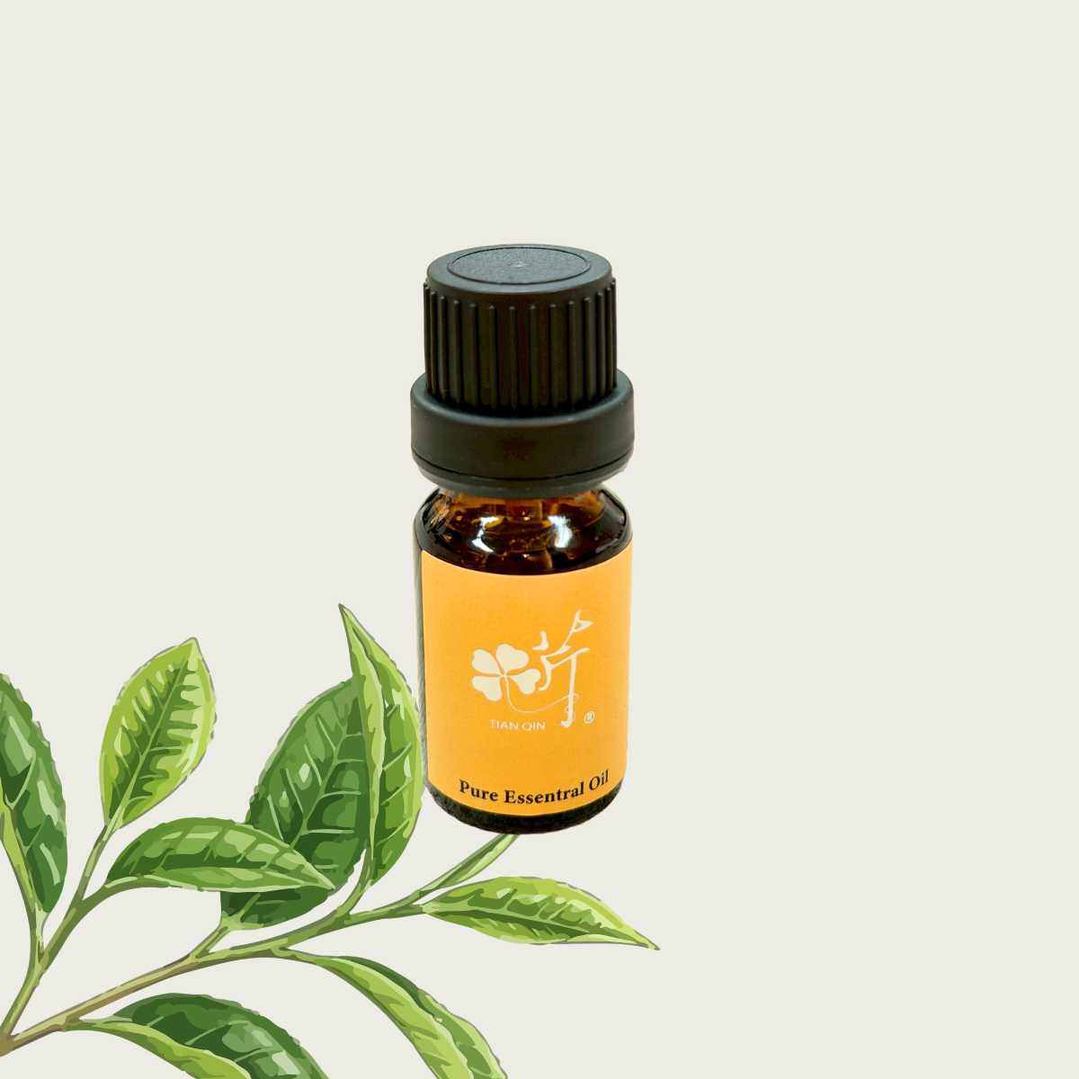 《匯芹》澳洲茶樹單方精油 10cc/罐