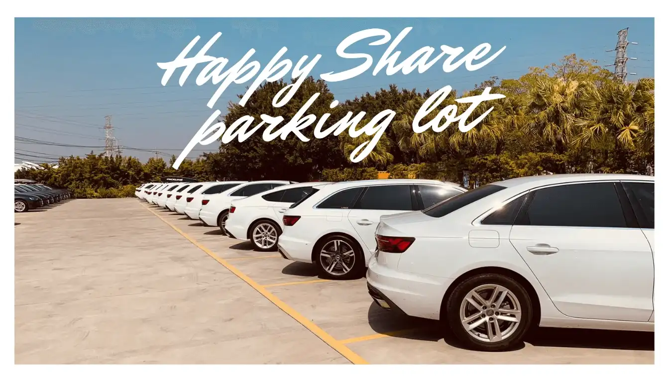 參加車聚的白色車，在哈比雪兒的大停車場排成一排