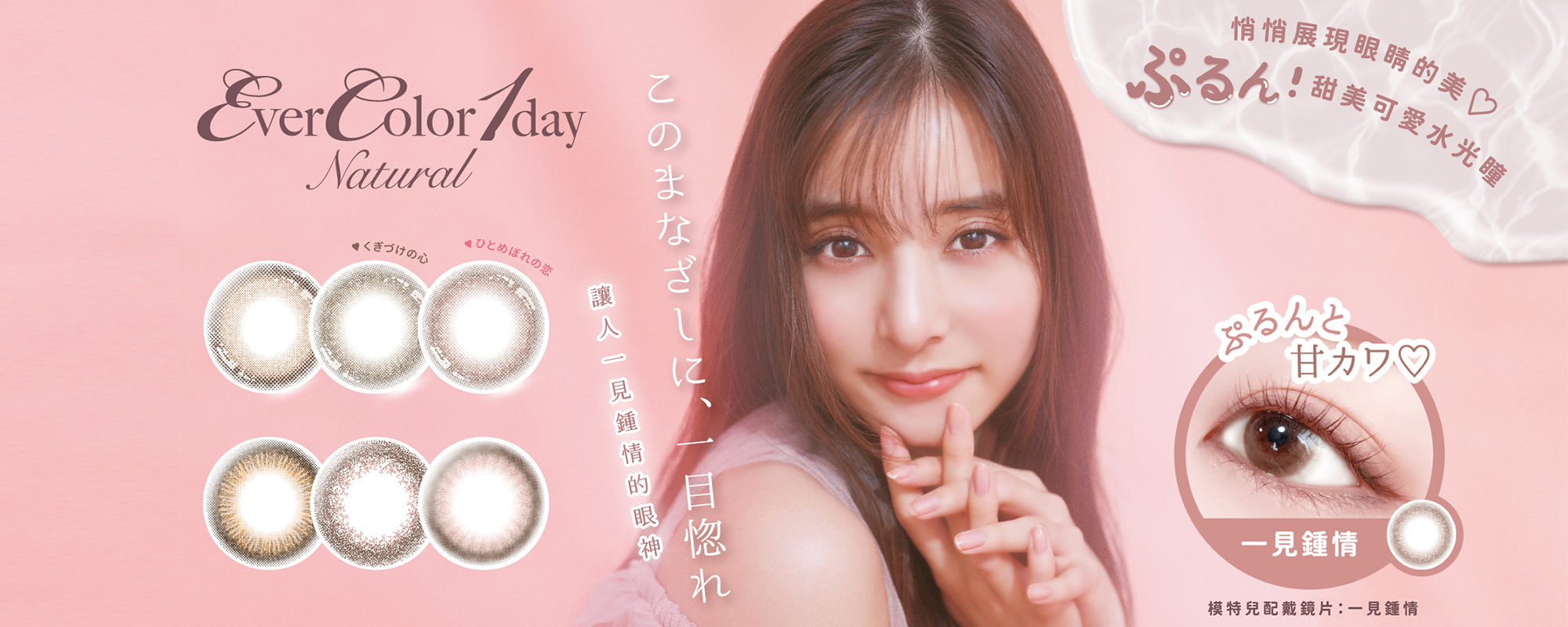 evercolor-新款