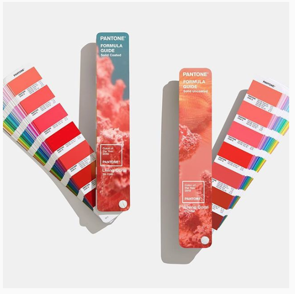 PANTONE 16-1546 Living Coral Color of the year 2019