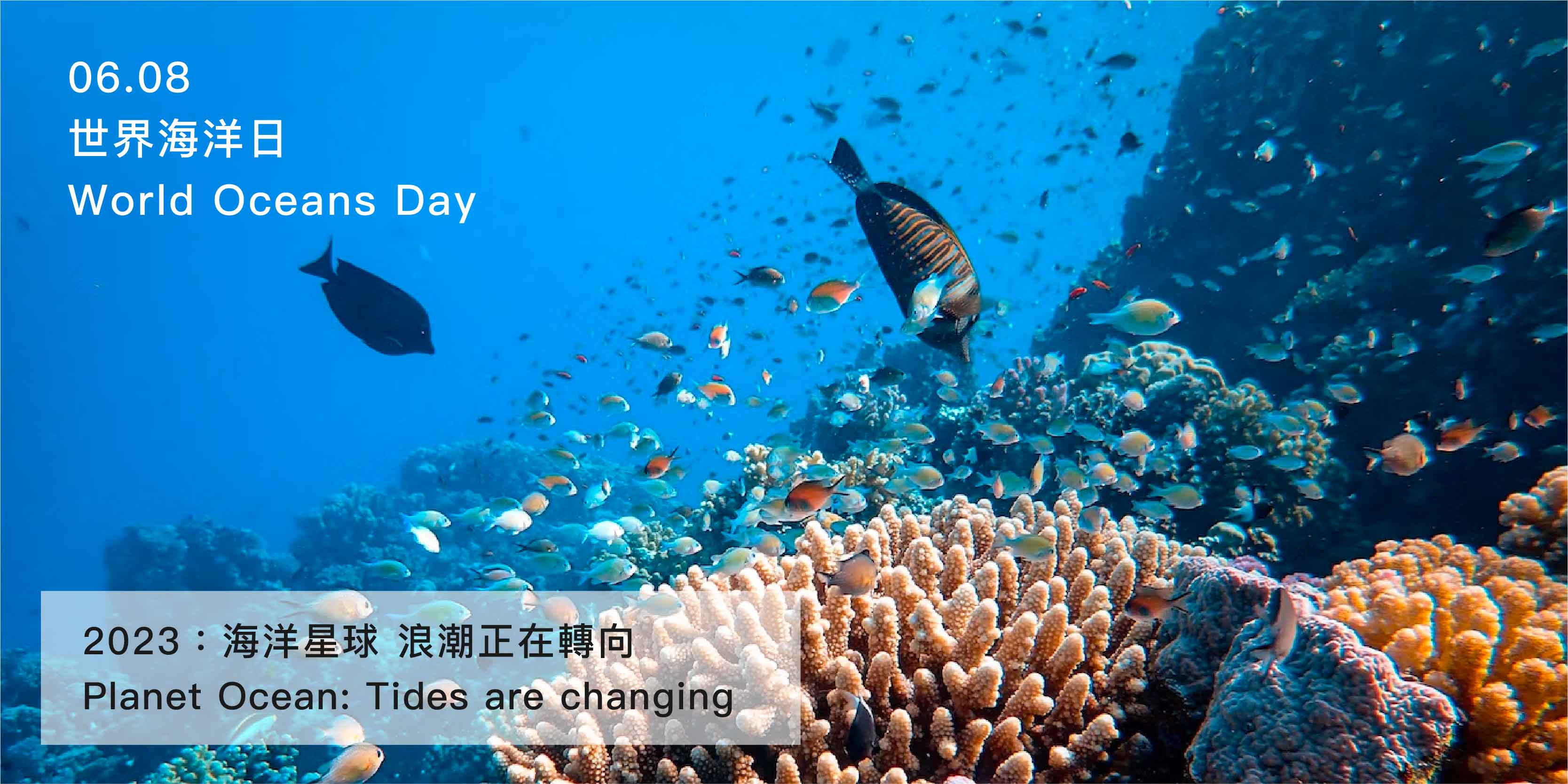 世界海洋日,world oceans day,環保,20230608