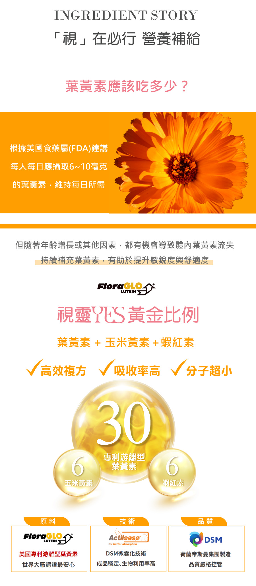 視靈yes葉黃素+玉米黃素+蝦紅素，高效複方,吸收率高,分子超小