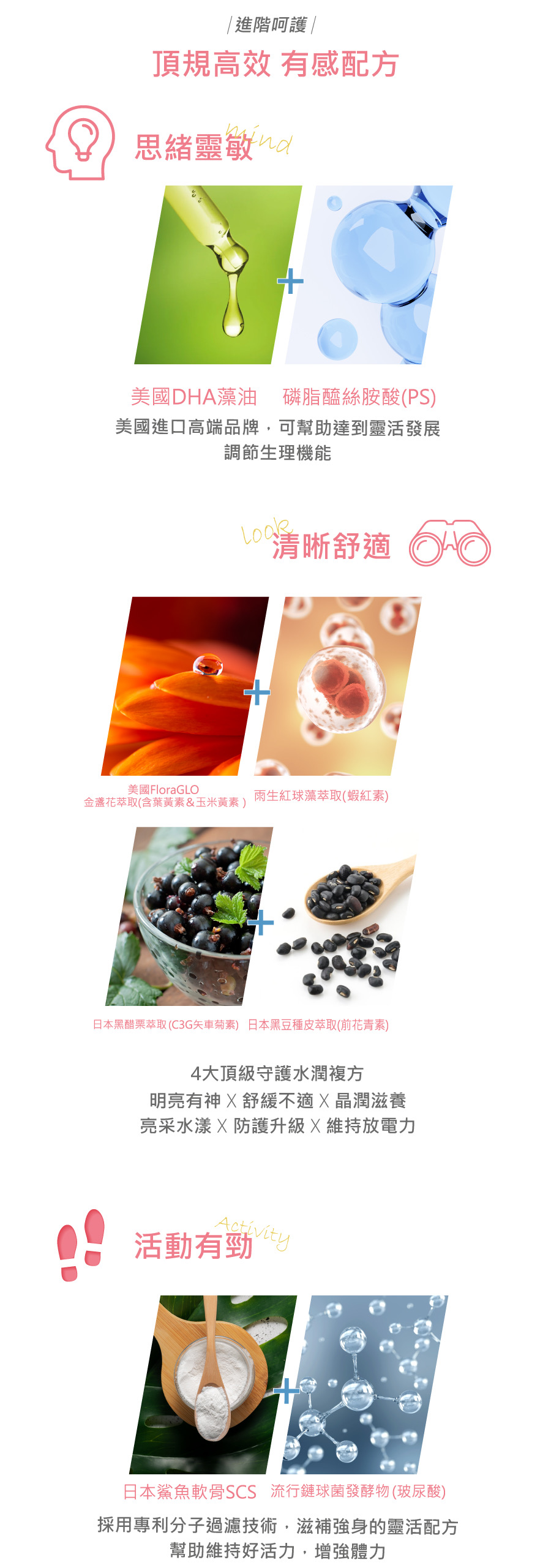 思緒靈敏,清晰舒適,美國dha藻油,花青素,金盞花萃取