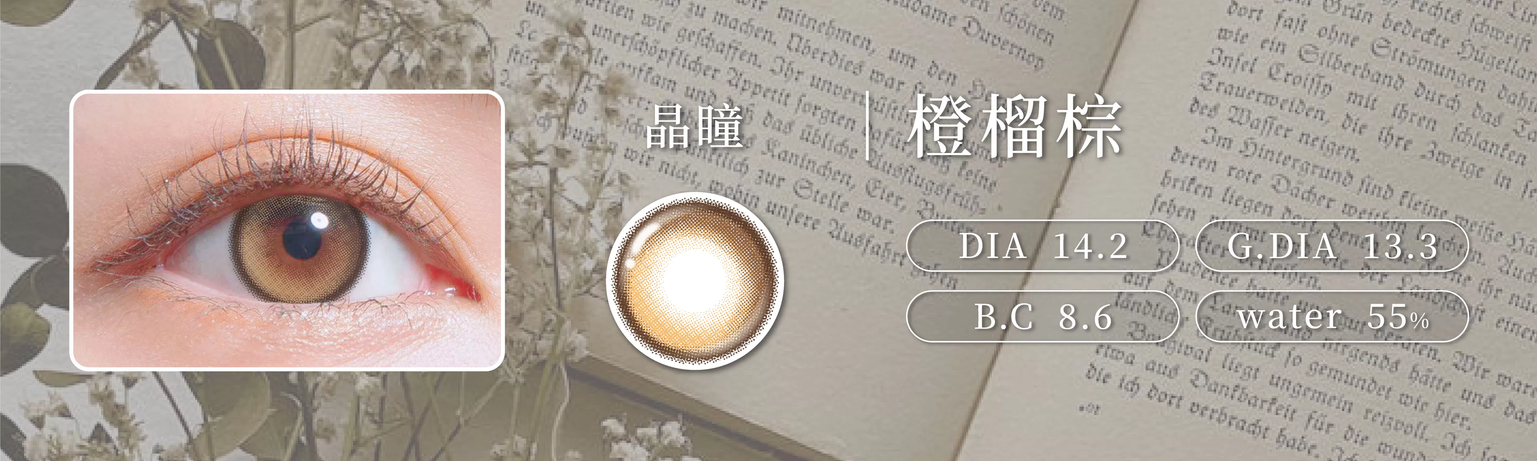 CRYSTE,晶瞳,Jewel彩色日拋,橙榴棕