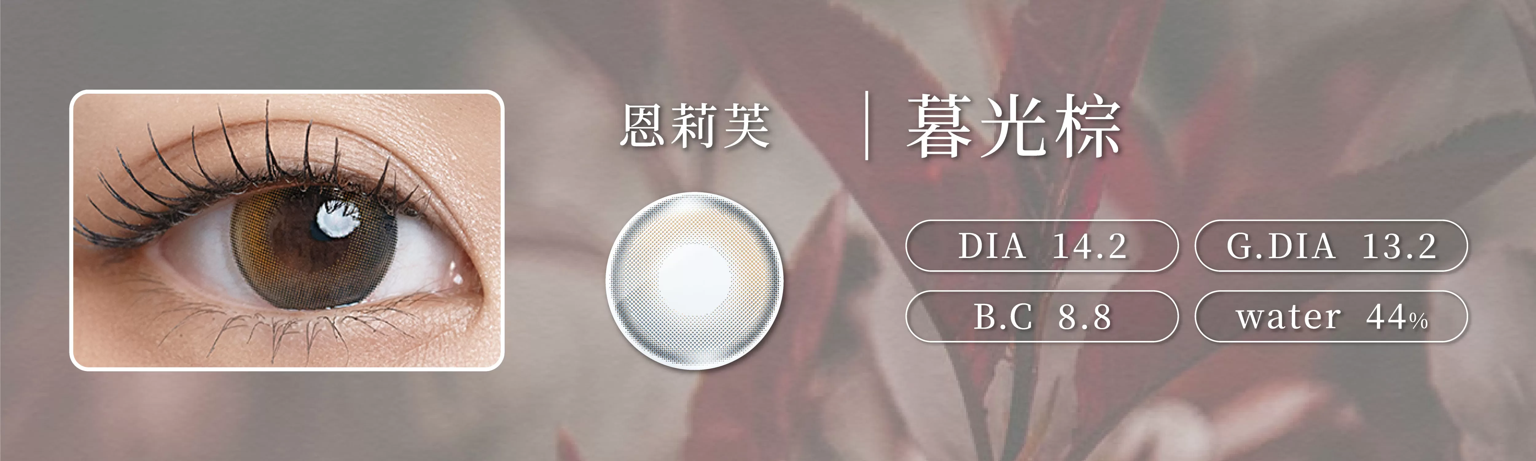 恩莉芙,ENLIVEN,ENLIV,矽水膠彩色日拋,暮光棕,Twilight Brown