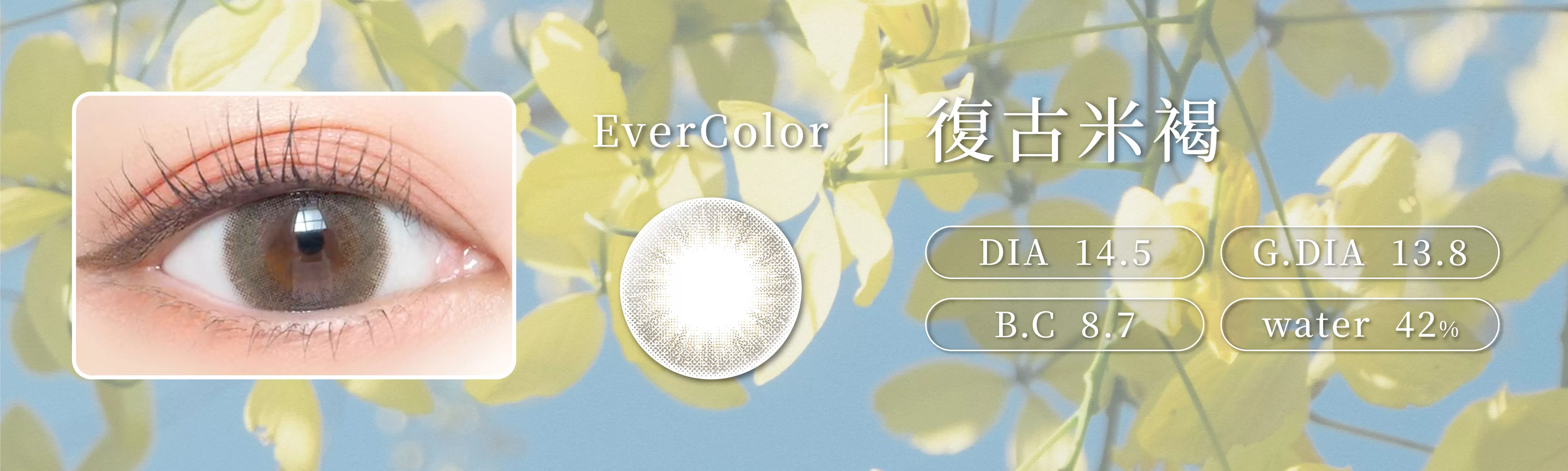 EverColor,艾薇卡,Natural Moist Label,彩色日拋,復古米褐,Antique Beige