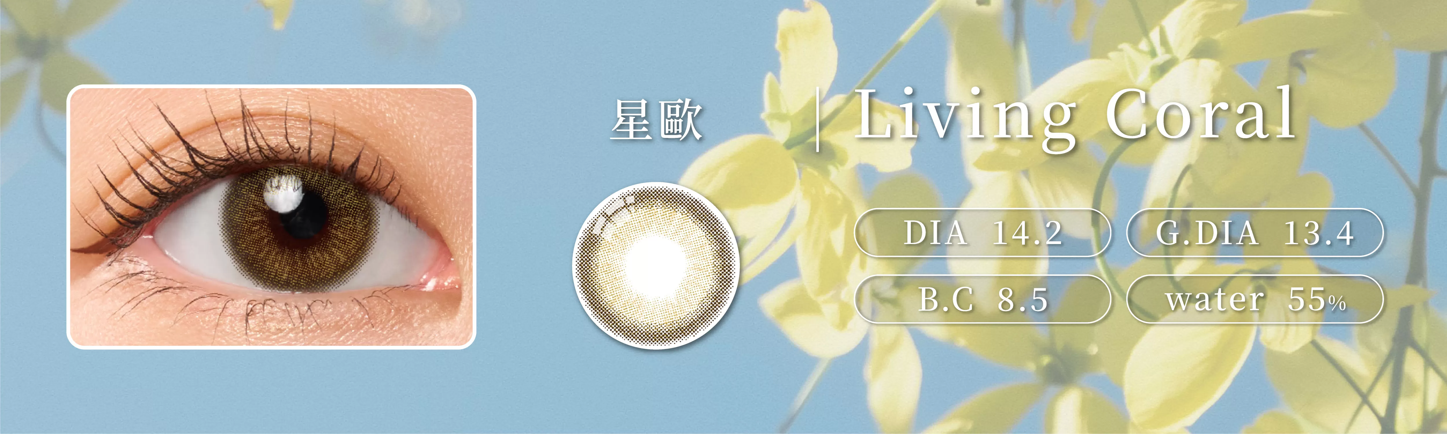 LARGAN,星歐,星空系列,彩色日拋,Living Coral