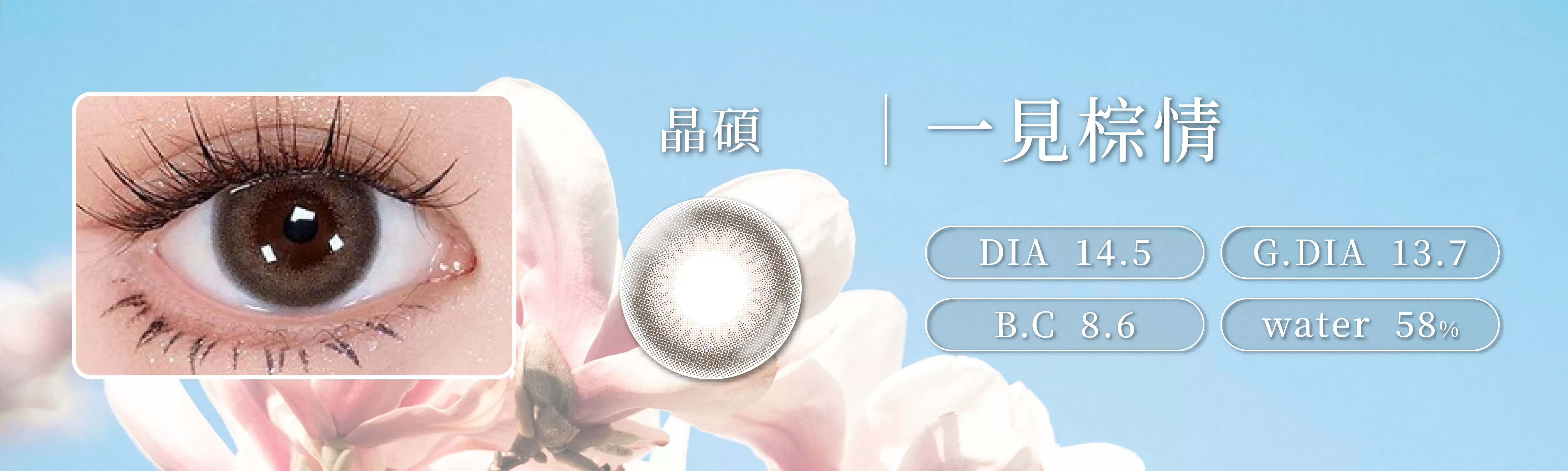 PEGAVISION,晶碩,HiBro彩色日拋,HAD YOU AT HELLO,一見棕情