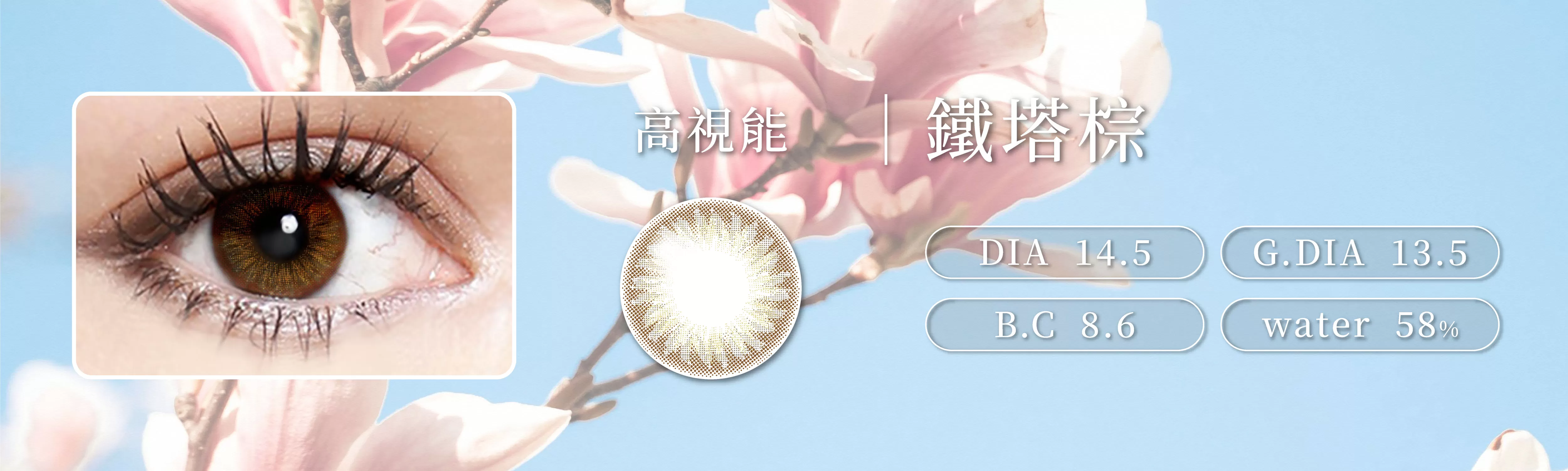 iVISION,高視能,Elegance,彩色日拋,鐵塔棕