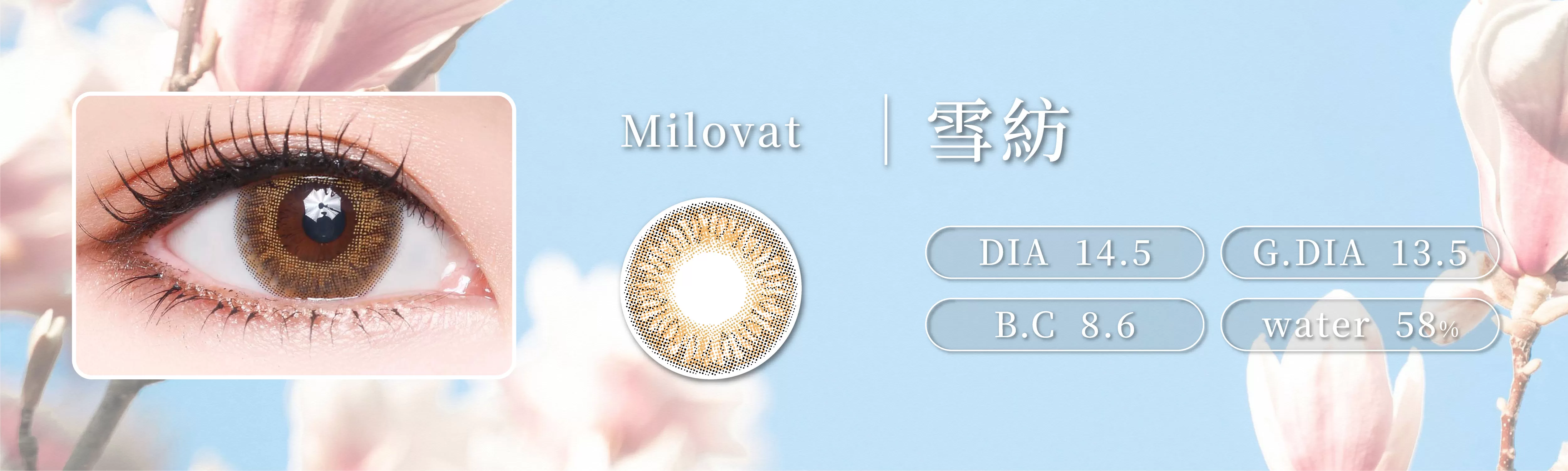 Milovat,寵愛,彩色日拋,Chiffon Brown,雪紡