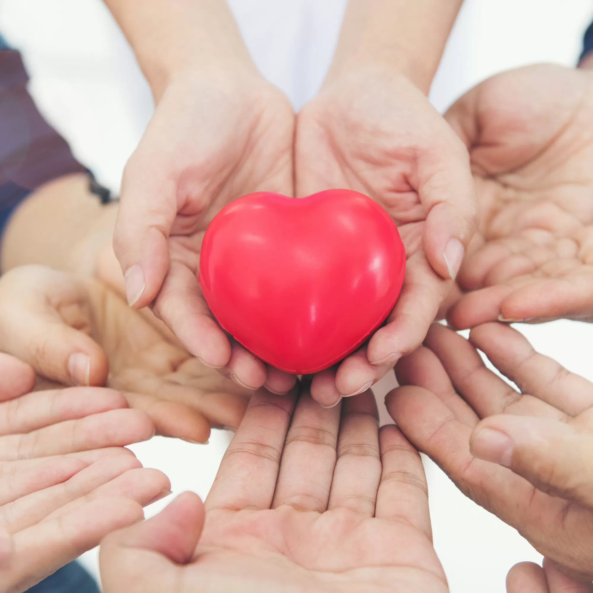 落實企業社會責任守護花蓮重建家園 聯華食品物資送暖、挹注專款雙管齊下