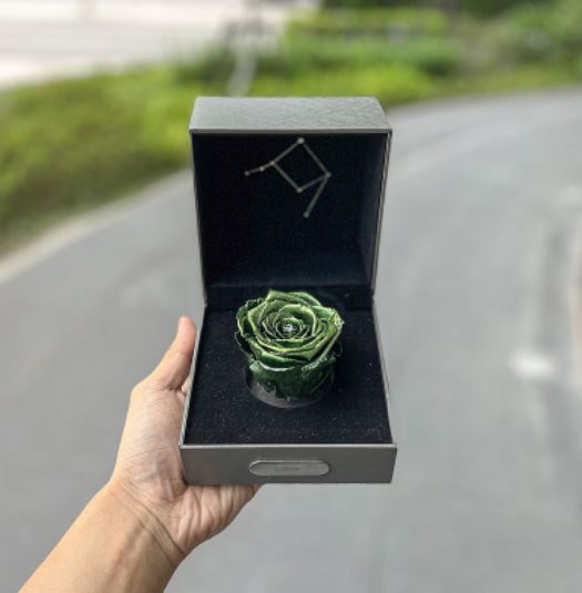 【Flower Plus】 Libra 天秤座 | 單層永生花星座禮盒