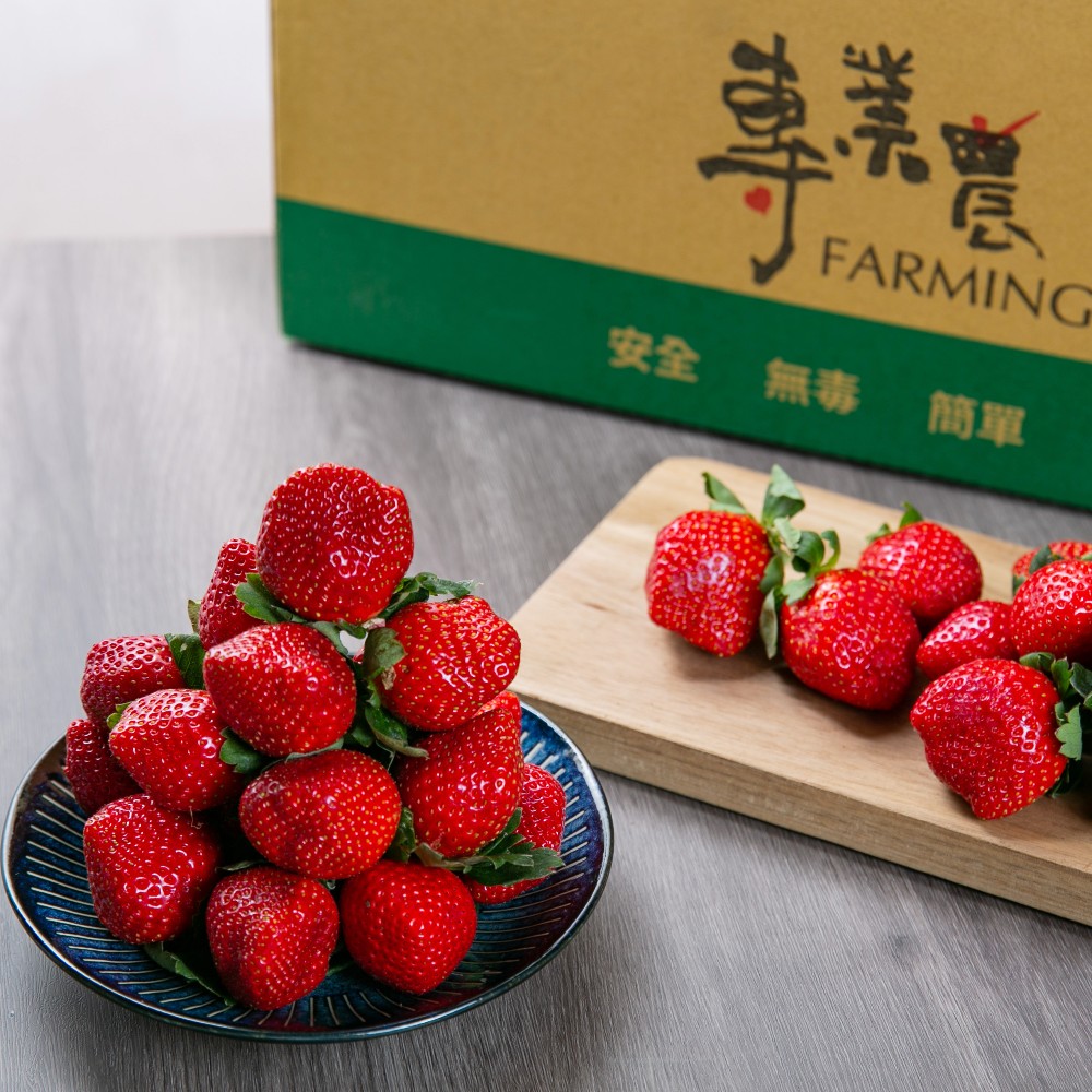 【專業農】台灣特大草莓