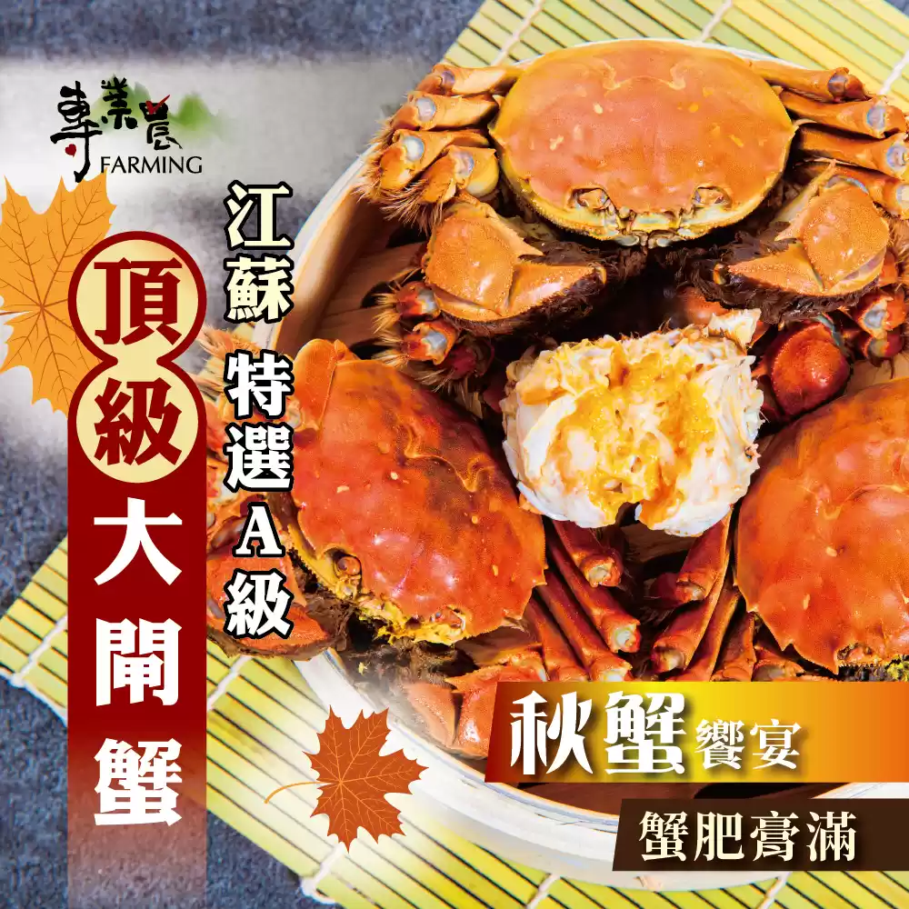 【5隻組】️️江蘇 特選A級 蟹肥膏滿 頂級 大閘蟹 ️️ 附贈蟹剪套組1組✂️