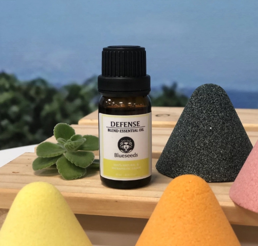 ★口罩清新長效淨化★防禦複方精油10ml,U22960004,★口罩清新長效淨化★防禦複方精油10ml,農產百寶箱,202210241239