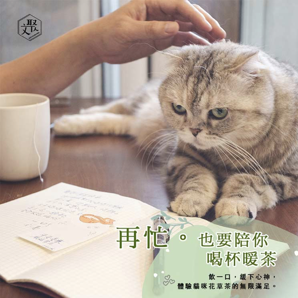 【文聚】貓與自然農 享微薰花草茶禮盒(薰衣草花草茶)