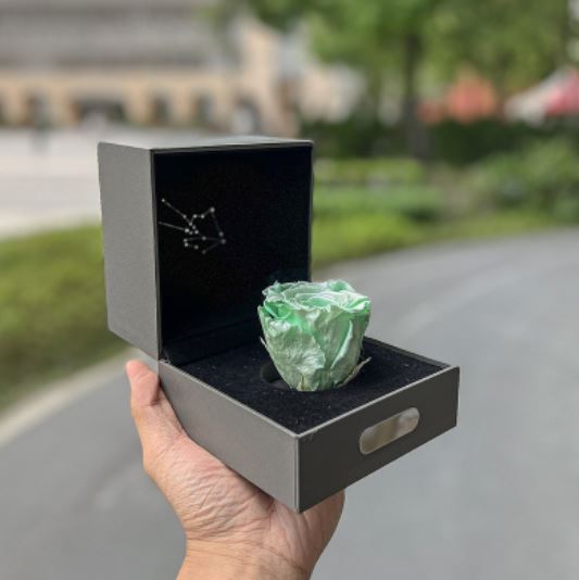 【Flower Plus】 Taurus 金牛座 | 單層永生花星座禮盒
