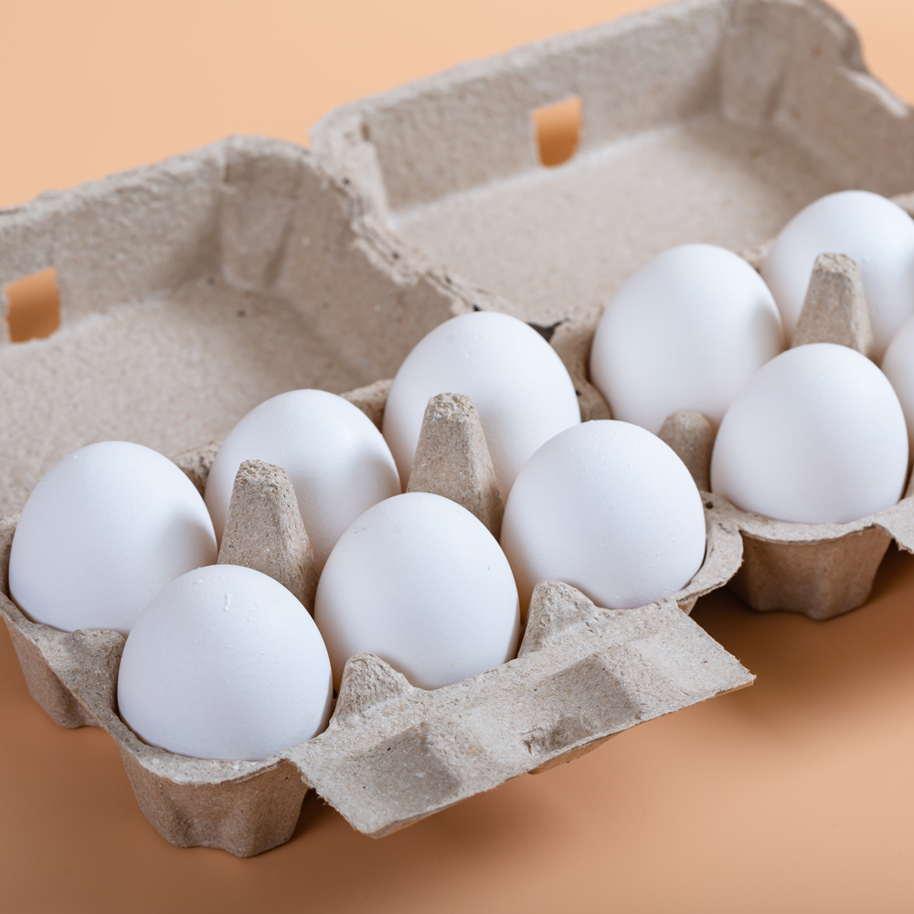 【買一送一】專業農新鮮白殼雞蛋18顆組